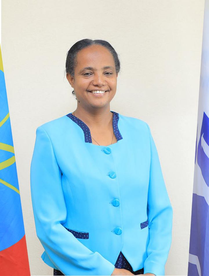 Dr. Mulunesh Abebe