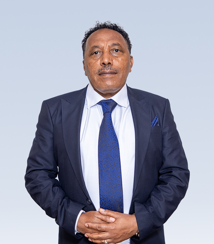 Amhara National Regional State Industry Parks Development Corporation (Represented by  Ato Birhan)